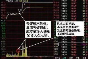 (道氏技术深度分析)探讨道氏技术上涨的原因及影响因素