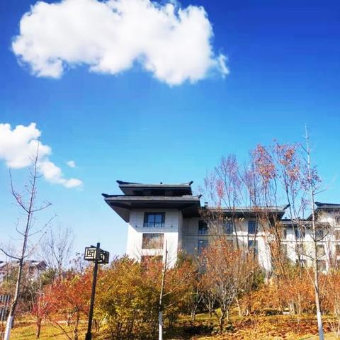 探秘合成小小镇攻略：发现隐藏玩法，打造梦幻乐园，畅享创意乐趣