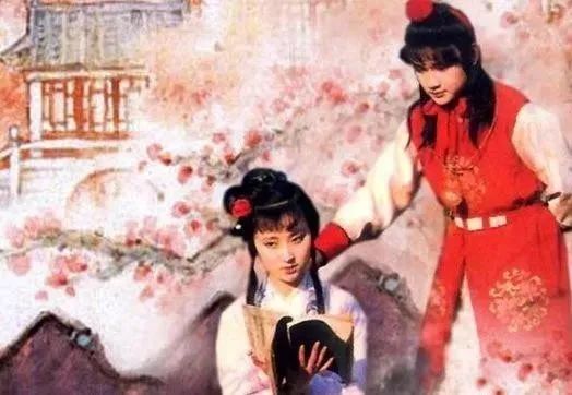 (穿越红楼贾府)穿越红楼贾大老爷的小说：时空穿越重生大贾宅主人