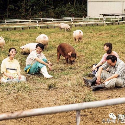 (电脑音量小喇叭不见了怎么办)电脑声音小喇叭不见了怎么办？突如其来的问题该如何解决？