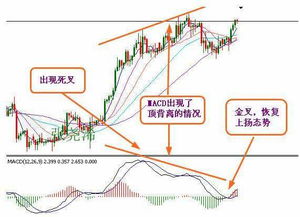 (反转123)揭秘反转21克全解锁的神秘力量：究竟隐藏了什么秘密？