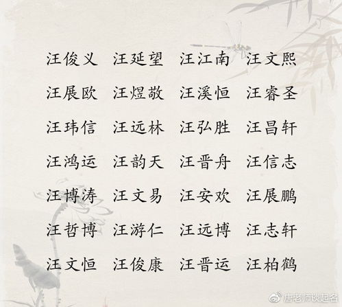 文嘉名字的含义及寓意：揭秘文嘉二字的文化内涵和象征意义，原名的来源和含义解读