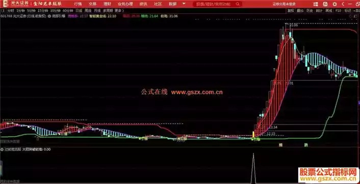 大智慧股票软件如何通过自编公式提升投资效率和策略实施效果？
