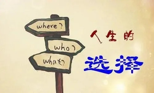 (抉择成就人生)抉择之路：打造成功职业生涯的全面攻略与实用建议