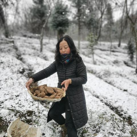 (掘地挖宝红包版)揭秘掘地挖宝攻略：如何找到宝藏和珍宝，赚取高额财富？