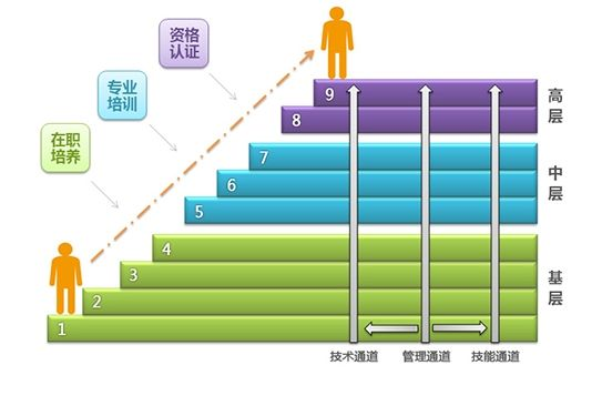 (人才类型级别)前方高能级别划分：揭秘不同领域专业人才的职级分级制度