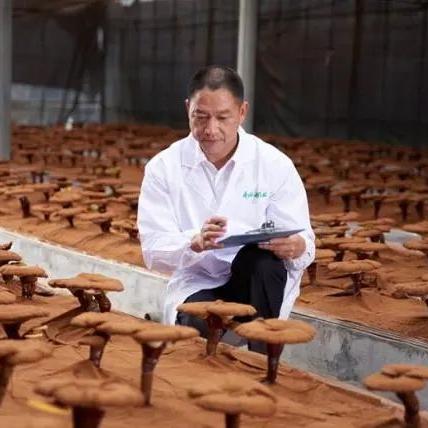 (探索中医)探寻中医奥秘：探险中医药乐园