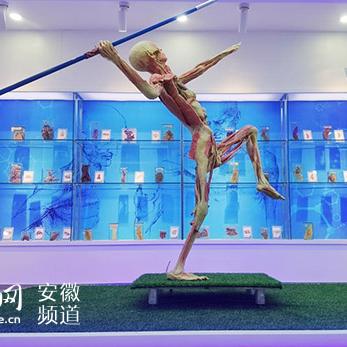 (探索中医)探寻中医奥秘：探险中医药乐园