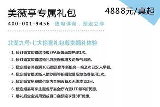 探寻代号543电视剧背后的秘密：深入解析剧本创作与角色塑造的匠心之作