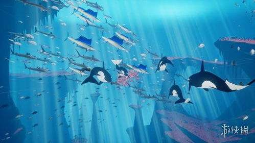 详尽探索：跨足神秘海洋世界，全面解析水族馆里的100种生机勃勃的动物种类