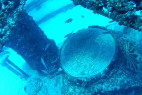 详尽探索：跨足神秘海洋世界，全面解析水族馆里的100种生机勃勃的动物种类