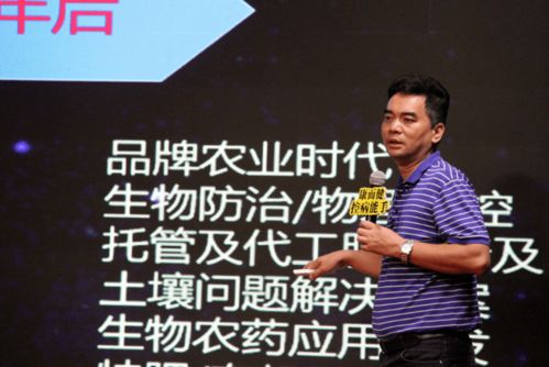 (奇迹联盟创始人)深入揭秘：奇迹联盟QJ币究竟是骗局吗？投资者需警惕的陷阱分析