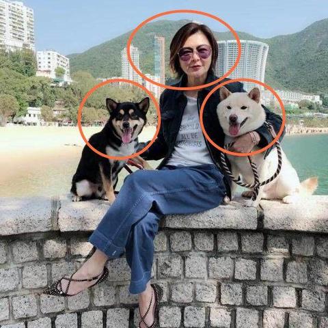 奢华赋予千年璀璨，揭秘千年风华无限钱石版的优秀工艺与珍贵价值