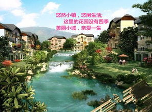 (奇门小镇攻略)奇门小镇为什么停服？一起揭秘背后的真相和原因