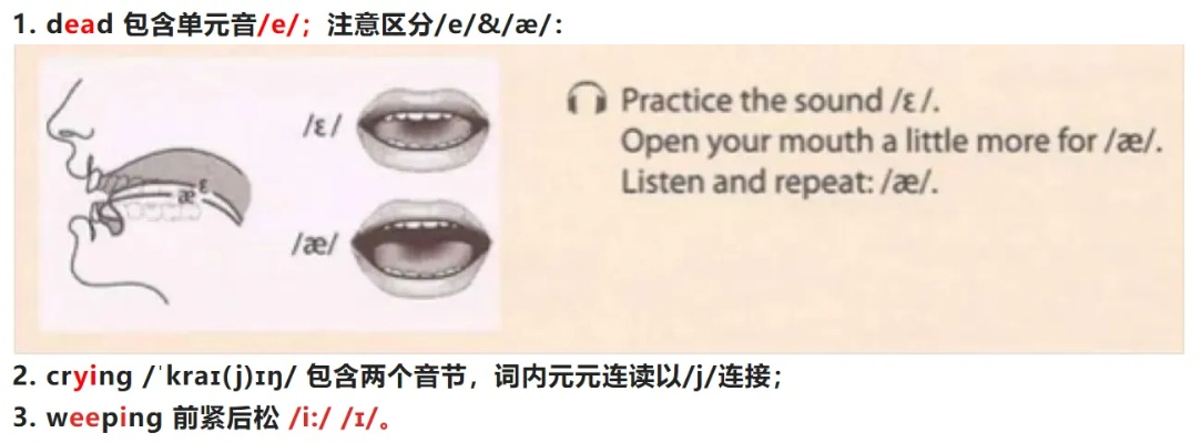 twirdora怎么读？让我们来揭开这个谜团，详细解析发音规则和正确读法！