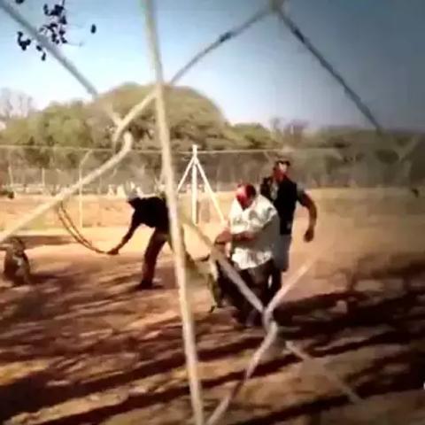 (狩猎魔法少女)下载魔法狩猎者内置菜单，获取更多魔法力量！