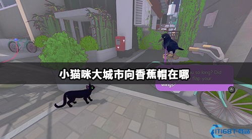 (帮我找到妖怪)在我身边：寻找我的妖怪猫系列-探寻隐藏在城市中的神秘秘密