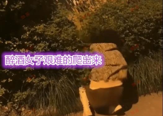 深夜独饮，醉卧沙场的正确含义：在孤独中追寻内心的勇气与坚定