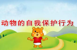 (保卫果园活动反思)保卫果园大班教案：激发幼儿园儿童的爱心与责任感