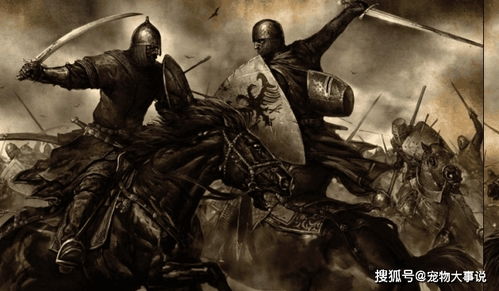 我要当国王黑暗闯关"：从平民到君主，揭秘主角在权力与黑暗世界中的斗争与挑战