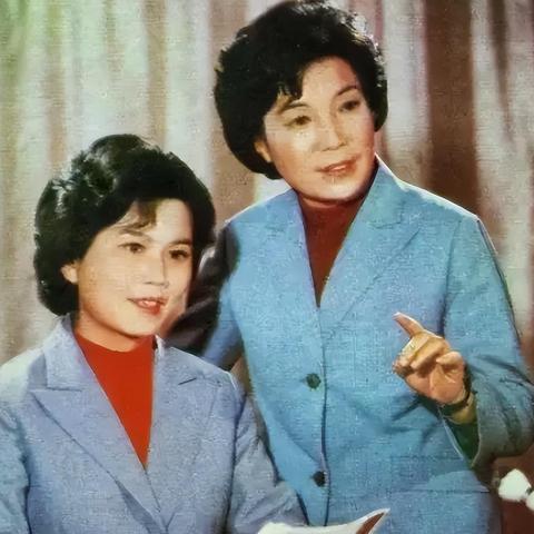(载体构建视频)深入探讨载体解说的多样化形式及其在信息传播中的重要作用