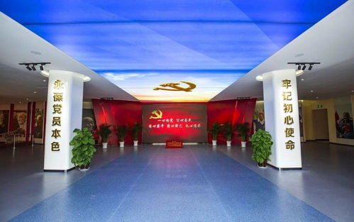 (街球艺术是哪个公司的)探寻街球艺术交易市场：城市中隐藏的文化宝藏