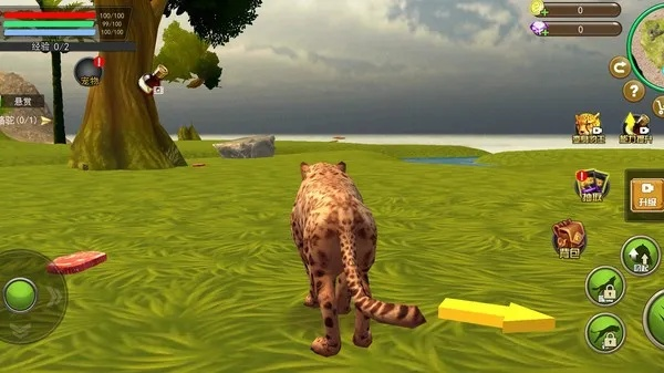 畅玩模拟猎豹无限金币版：自由探索野生世界，体验刺激狩猎与冒险的极致乐趣