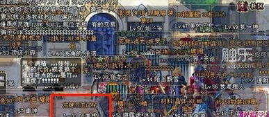 战甲姬索尔甘特巴图勇士回想码：传奇战士的岁月回忆与回顾