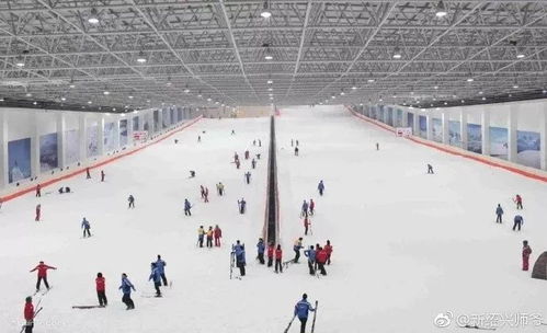 (戏雪乐园滑雪场)欢乐冰雪世界：戏雪乐园的种类丰富的玩雪项目