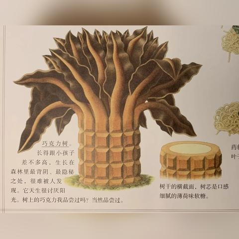 探秘奇幻森林岛：全新战略对战模式阵容搭配指南，助力玩家实现游戏内超凡的游戏体验