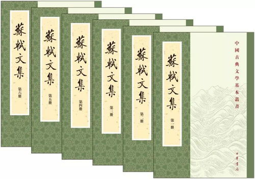 (成语枪林弹雨是什么意思)深度解析成语'枪林弹雨'的含义及其在现代社会中的应用与演变