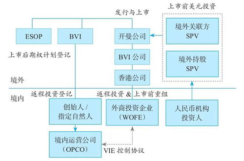 探究星火商会的组织结构及运作模式，揭示其内部机制和成员互动关系