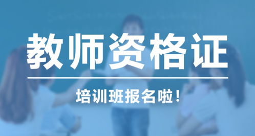 (小蜜蜂教师培训机构怎么样)教育局就小蜜蜂老师身份问题发表回应并解释情况