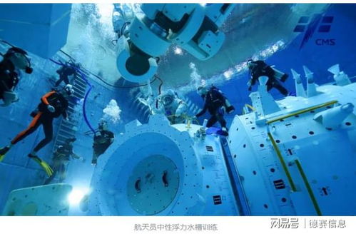 (下潜勒颈教学法)学习下潜勒颈动作要领，提高水下能力和耐力