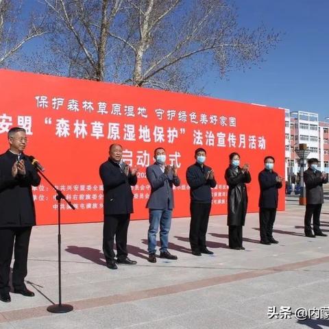 探索森林英雄会：激发环保意识，携手守护我们的自然家园活动计划与倡议解读