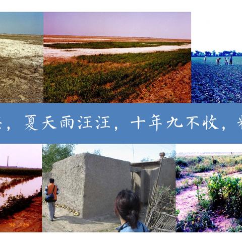 (我想看汪汪狗狗)汪汪汪奇迹再现：探索狗狗如何在生活中带来欢乐与灵感的故事