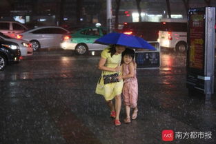 (白鹿 1)暴雨中的鼻血连天飞白鹿：神秘与危险并存的奇幻旅程