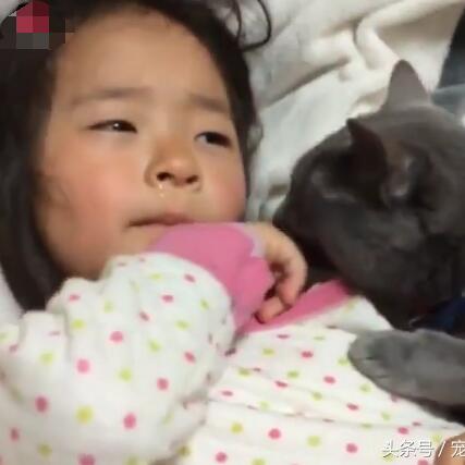 (猫咪被亲亲)猫咪被亲的时候在想什么？是否感受到主人的爱意和温暖？