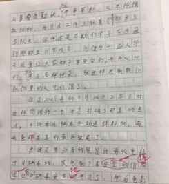 写一篇关于钓鱼王爸爸的作文，该如何结构以及内容创意的详细指导和实例分享