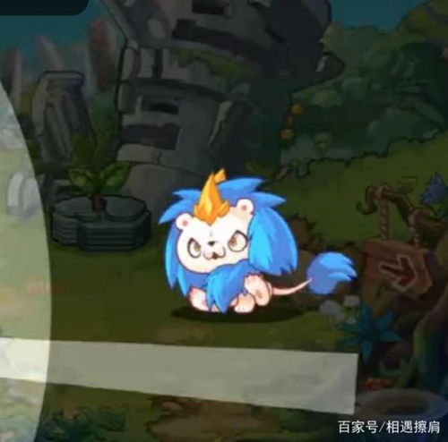 洛克王国会慈悲为怀的宠物有哪些品种可以作为细分话题展开探讨