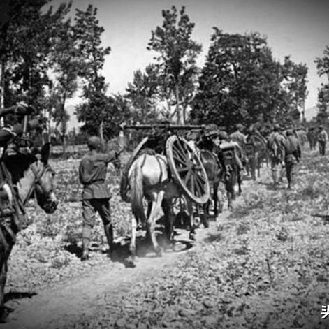 (进击炮炮兵下载)免费观看最新热播电视剧《进击炮炮兵》，精彩不容错过