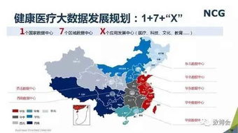 深度解析与展望：基于地理大数据绘就的'君临世纪'分布图及其对全球政经形势影响的研究