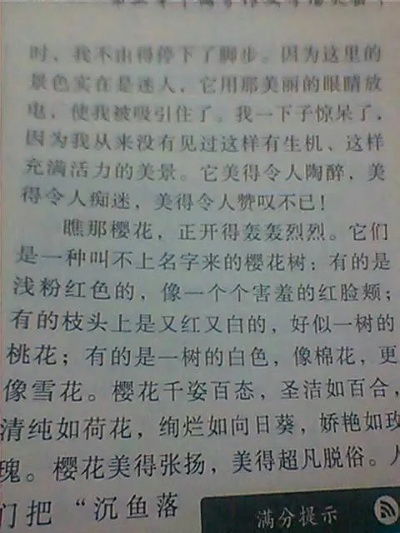 (人生中遇见)在人生路口遇见，感悟遇见的珍贵：遇见作文600字写事