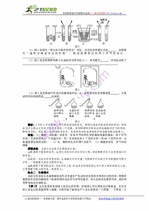 (生物演化发展史)探索生物演化之谜：从物种起源游戏中揭秘生命的奥秘