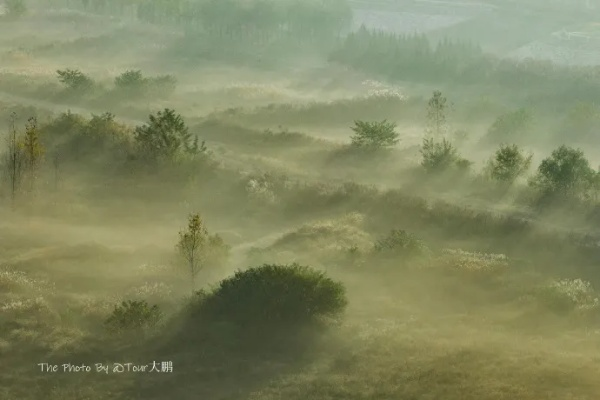 (清澈而美丽)清澈而清新，朦胧而自然，如同晨曦初现的清风徐来