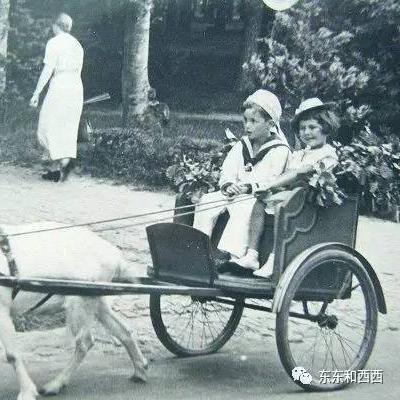 我要当国王原版：探索权力的魅力和责任，成就自己的帝王梦想