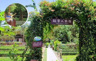 天天农庄官方版：带你探索农庄生活，体验农庄乐趣，享受大自然的温馨与美好。