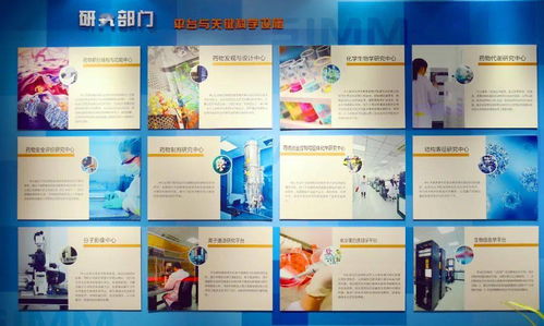 深度解析：模拟帝国中国完美布局图中的城市建设策略与社会经济发展的内在联系