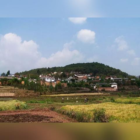 (班得瑞 寂静之声)班得瑞的《寂静之声》：沉浸于大自然的音乐与心灵的和谐之旅