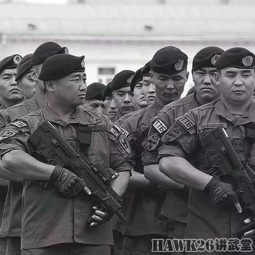 (203 代号)203代号首长：揭秘特种部队最神秘的领导者身份